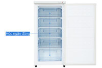 Tủ đông mini đứng 5 tầng 150L