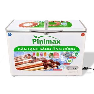 Tủ đông Pinimax 2 ngăn 490 lít PNM-49WF