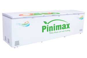Tủ đông Pinimax 1 ngăn 1100 lít PNM-119AF