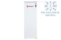Tủ đông Sanaky 230 lít VH230HY