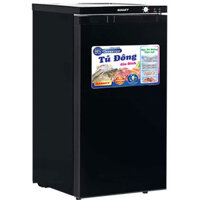 Tủ Đông Sanaky Inverter 118 Lít VH-160K3