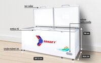 Tủ đông Sanaky VH-8699HY 860 lít