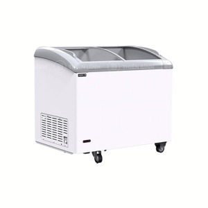 Tủ đông Sanden 1 ngăn 270 lít SNC-0285