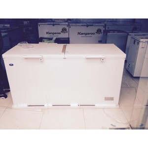 Tủ đông Sanden 1 ngăn 260 lít SDH-0265