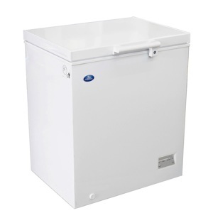 Tủ đông Sanden 1 ngăn 100 lít SNH-0105