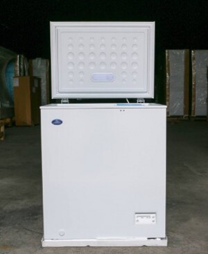 Tủ đông Sanden 1 ngăn 100 lít SNH-0105
