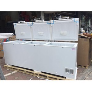 Tủ đông Sanden 1 ngăn 1500 lít SNQ-0805