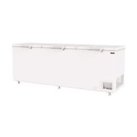 Tủ đông size lớn 750l Snq-0805i Sanden