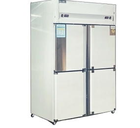 Tủ đông Snow Village 2 chế độ 900 lít SLLDZ4-820LS