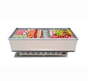 Tủ đông Snow Village 1 ngăn 558 lít SD/SC-1800