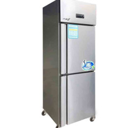 Tủ đông Snow Village 2 cánh 538 lít SLLDZ4