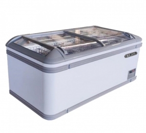 Tủ đông Berjaya 1 ngăn 600 lít BJY-IFGD-600L