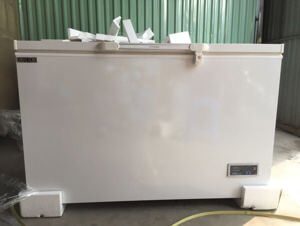 Tủ đông Unique 1 ngăn 287 lít FD-340-SF