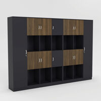 Tủ Giám Đốc TGDY045