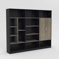 Tủ Giám Đốc TGDY047
