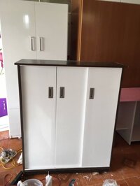 Tủ Giày Đài Loan TG05