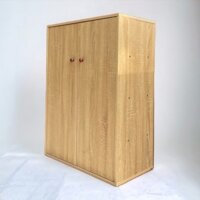 Tủ giày gỗ 2 cánh cửa - Kệ Tủ Giày Gỗ Chất Liệu MDF Phong Cách Hiện Đại - M22
