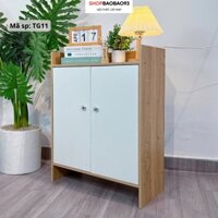 Tủ Giày Gỗ Kệ Gỗ Đựng Giày 2 Ngăn Cửa Trắng Hiện Đại Chống Nước Tốt - TG11