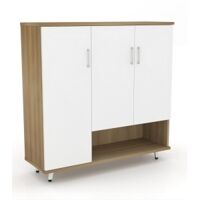 Tủ giày TG305