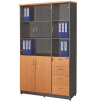 Tủ gỗ cao cấp Hòa Phát mã NT1960-3G/4D