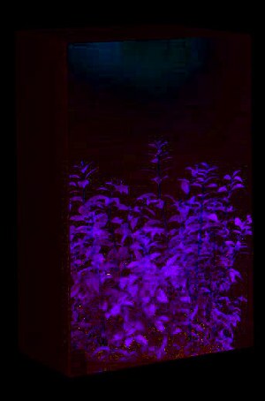 Tủ gỗ thông 3 tầng + áo trùm 2 lớp siêu dày Goldhouse GH10