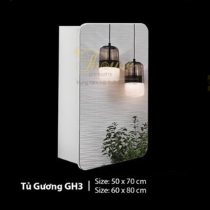 Tủ gương phòng tắm Roland GH3