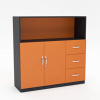 Tủ Hồ Sơ Thấp THSTY48