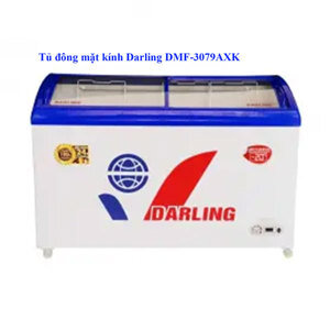 Tủ đông Darling 1 ngăn 300 lít DMF-3079AXK