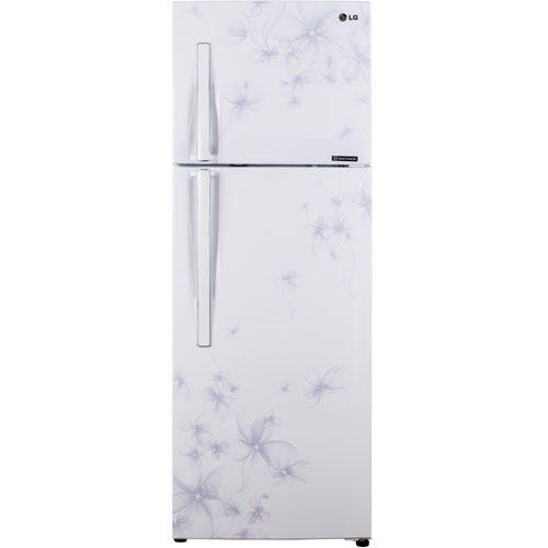 Tủ lạnh LG Inverter 255 lít GN-L275BF
