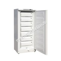 Tủ lạnh âm sâu -40℃ kiểu đứng Haier DW-40L188