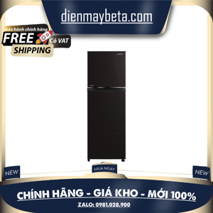 Tủ lạnh Coex Inverter 236 lít RT-4004BS