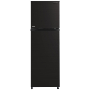 Tủ lạnh Coex Inverter 255 lít RT-4005BS