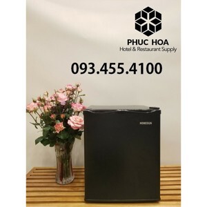 Tủ lạnh Homesun 40 lít BCH-40B