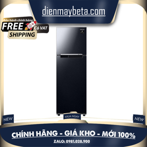 Tủ lạnh Samsung Inverter 299 lít RT29K5012S8/SV