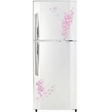 Tủ lạnh LG Inverter 225 lít GN-L222BF