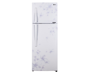 Tủ lạnh LG 208 lít GN-L225BF