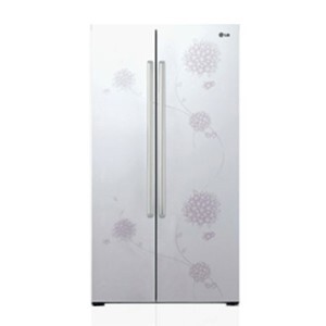 Tủ lạnh LG 537 lít GR-B217CPC