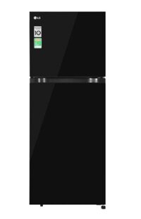 Tủ lạnh LG Inverter 217 lít T21BG