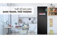 Tủ lạnh LG Inverter 315 lít GN-M315BL