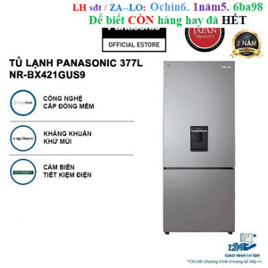 Tủ lạnh Panasonic 2 cánh Inverter 377 lít NR-BX421GUS9