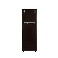 Tủ lạnh Samsung 208 lít Inverter RT20HAR8DBU/SV