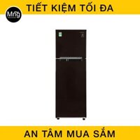 Tủ lạnh Samsung 208 lít Inverter RT20HAR8DBU/SV