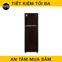 Tủ lạnh Samsung 236 lít Inverter RT22M4032BY/SV