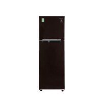 Tủ lạnh Samsung 236 lít Inverter RT22M4032BY/SV