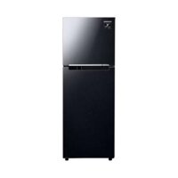 Tủ Lạnh Samsung 236L 2020 (RT22M4032BU/SV)