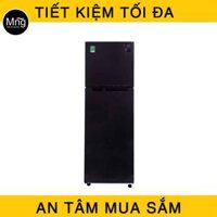 Tủ lạnh Samsung 256 lít RT25M4033UT/SV
