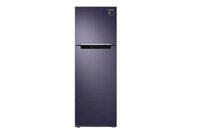 Tủ lạnh Samsung 256 lít RT25M4033UT/SV