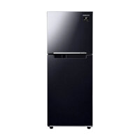 Tủ lạnh Samsung Inverter 208 lít RT20HAR8DBU