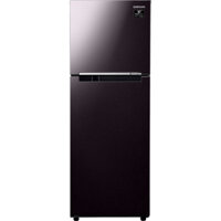 Tủ lạnh Samsung Inverter 236 lít RT22M4032BY/SV