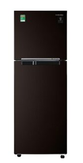 Tủ lạnh Samsung Inverter 236 lít RT22M4032BY/SV